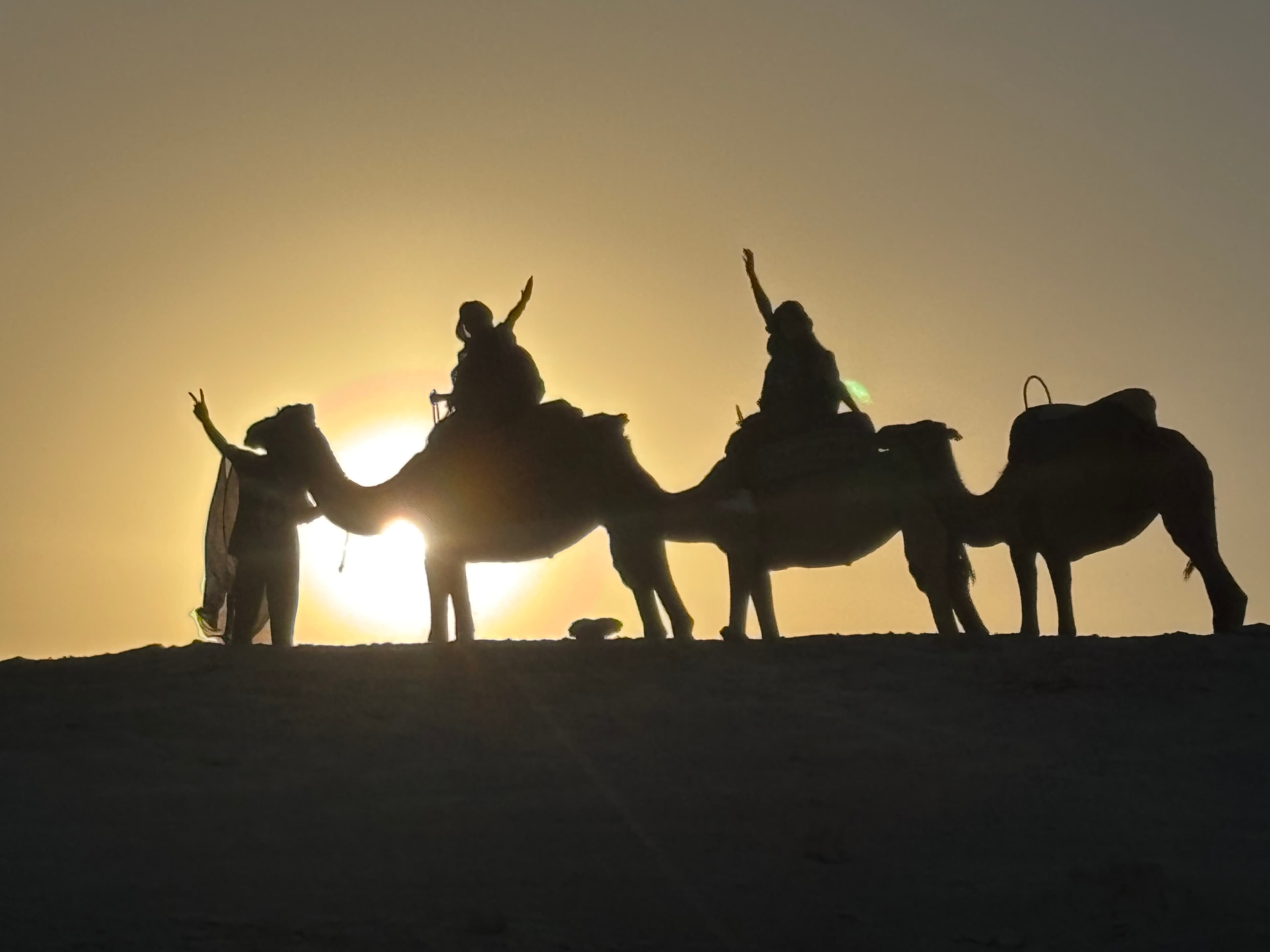 Berber tent at dusk